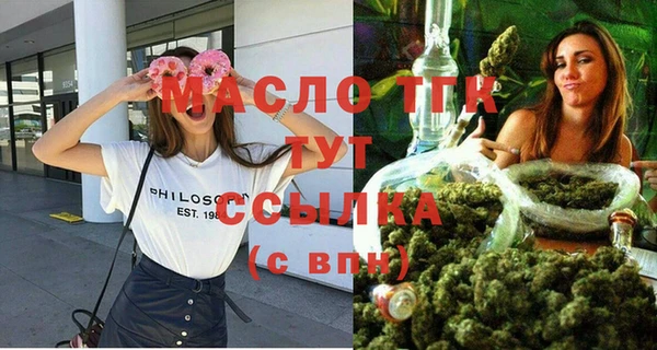 крисы Бронницы