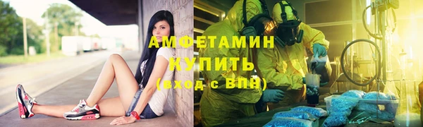крисы Бронницы