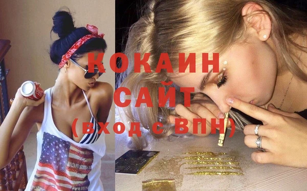 крисы Бронницы
