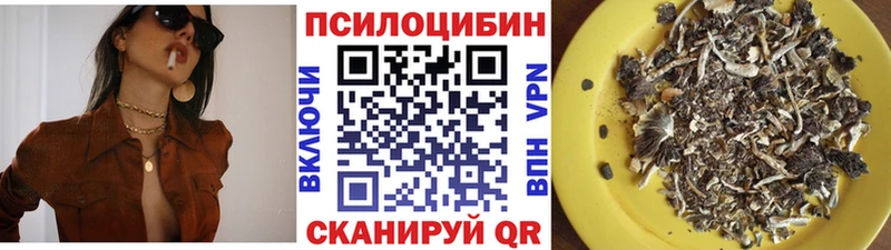 Псилоцибиновые грибы Cubensis  Артём 